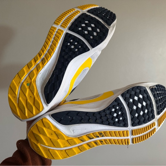 Michigan Nike Pegasus 40 men’s size 8 women’s 9.5
